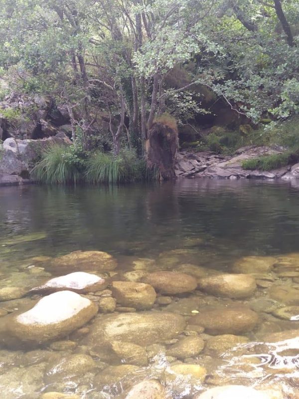 GREDOS